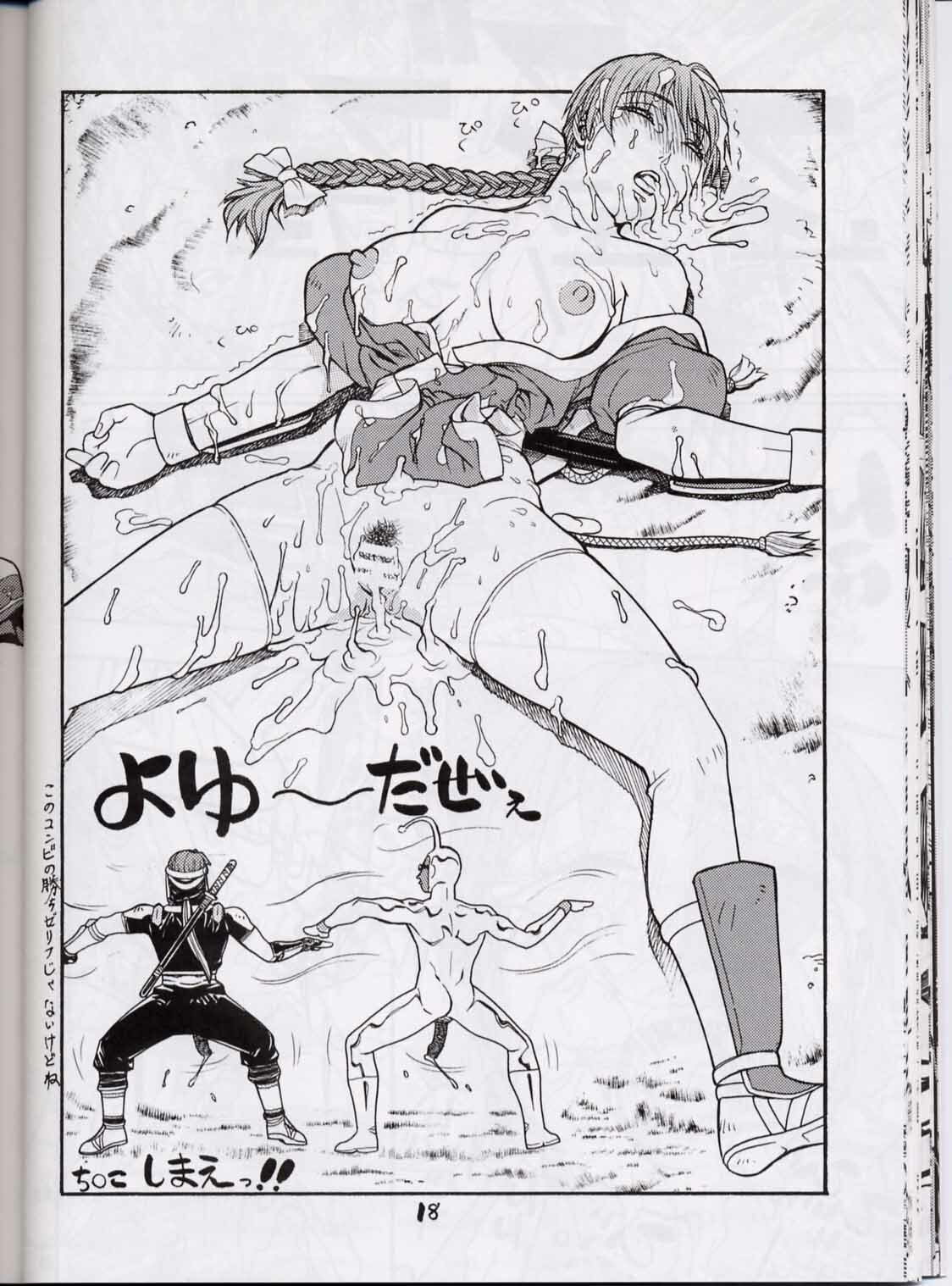 (CR30) [From Japan (Aki Kyouma)] FIGHTERS GIGAMIX FGM Vol.13.5 (Dead or Alive) page 33 full