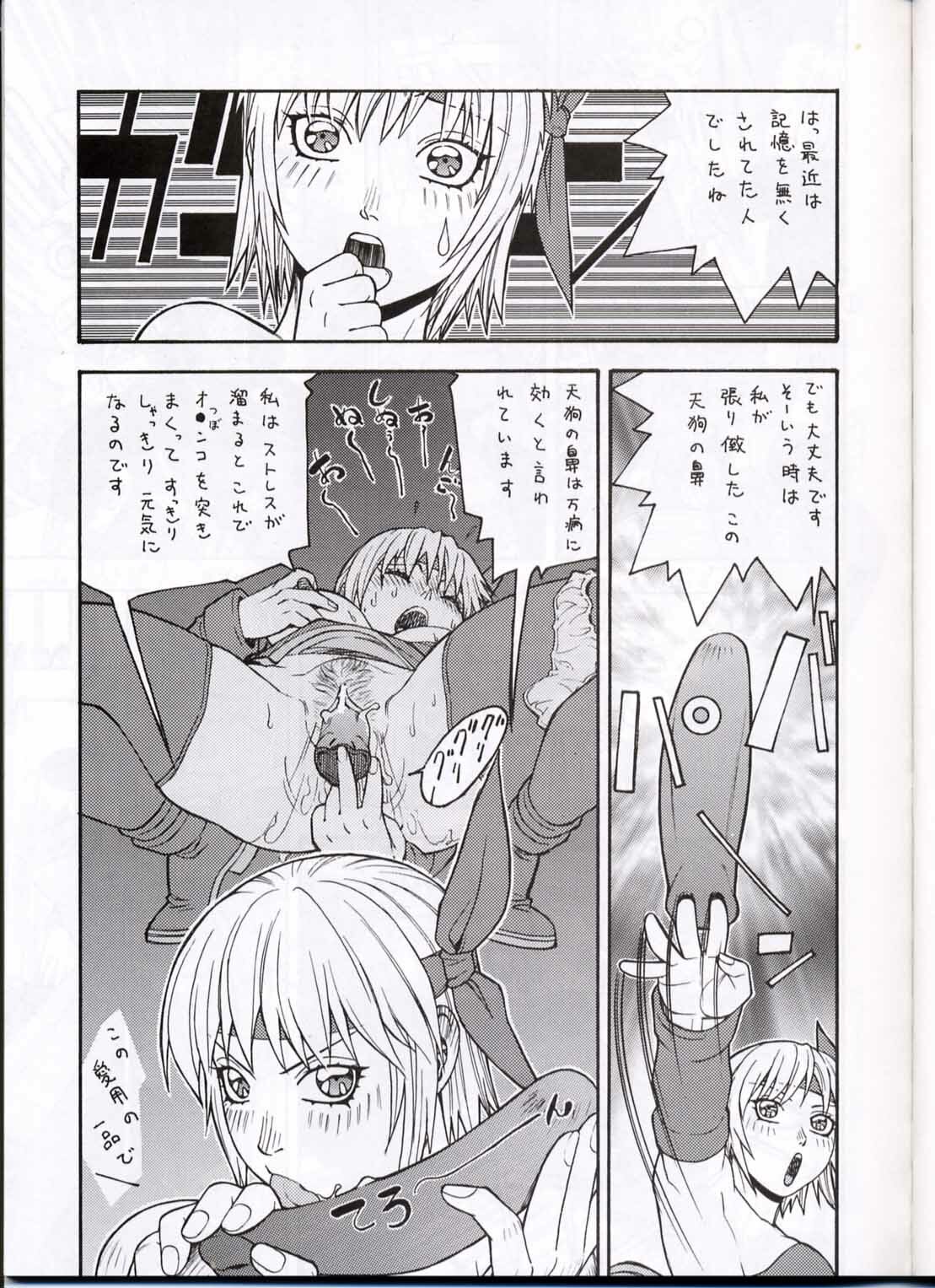 (CR30) [From Japan (Aki Kyouma)] FIGHTERS GIGAMIX FGM Vol.13.5 (Dead or Alive) page 6 full