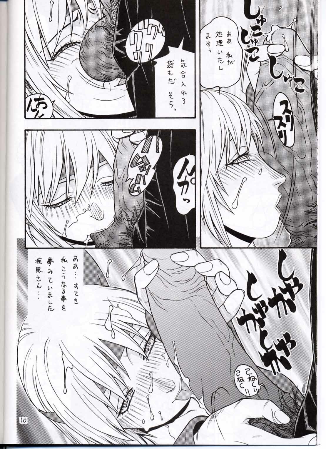 (CR30) [From Japan (Aki Kyouma)] FIGHTERS GIGAMIX FGM Vol.13.5 (Dead or Alive) page 9 full