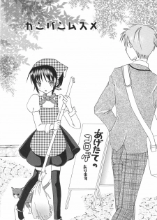 [Kirihara Kotori] IN THE SKIRT - page 28