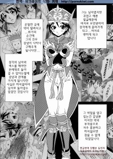 (C66) [U.R.C (Momoya Show-Neko)] Rikuson-chan ~Lovely Gunshi no Himitsu~ (Dynasty Warriors) [Korean] [Pornokiwi] - page 12