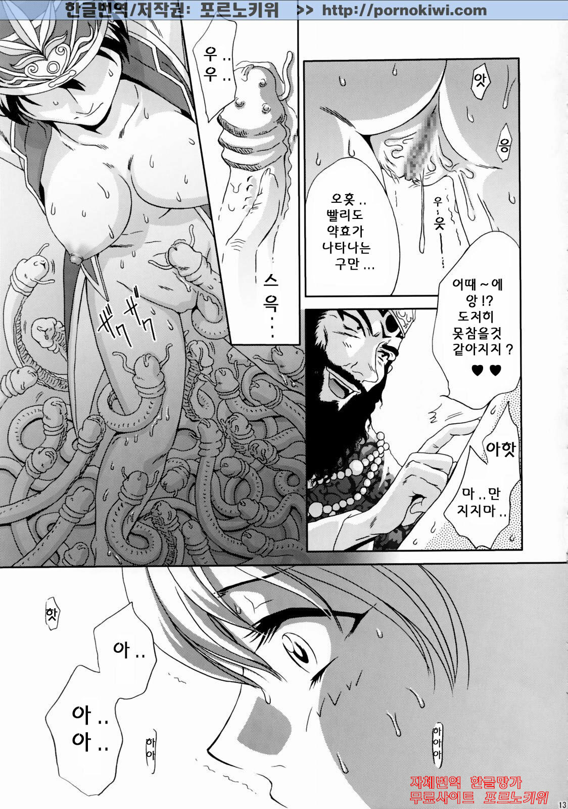 (C65) [U.R.C (Momoya Show-Neko)] In Sangoku Musou Rikuson Gaiden (Dynasty Warriors) [Korean] [포르노키위] page 12 full