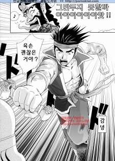 (C65) [U.R.C (Momoya Show-Neko)] In Sangoku Musou Rikuson Gaiden (Dynasty Warriors) [Korean] [포르노키위] - page 19