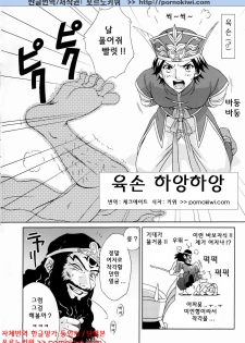 (C65) [U.R.C (Momoya Show-Neko)] In Sangoku Musou Rikuson Gaiden (Dynasty Warriors) [Korean] [포르노키위] - page 5