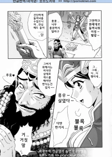 (C65) [U.R.C (Momoya Show-Neko)] In Sangoku Musou Rikuson Gaiden (Dynasty Warriors) [Korean] [포르노키위] - page 8