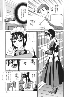 [Yukiyanagi] Seijo Gakuen ~Solvielle no Densetsu~ - Saint Woman education institution - page 38