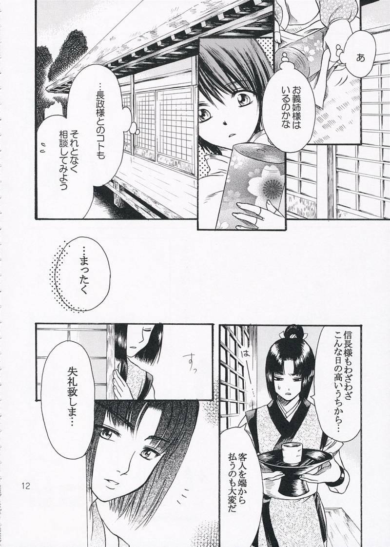 (C68) [Ray Flood (Ayaginu Yuki)] Chirimen Renka (Sengoku Musou) page 11 full