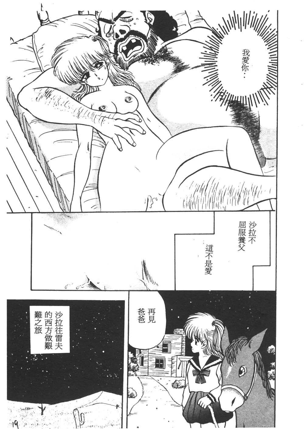 [Akira] Sara no Bouken - Hana Hime no Junction [Chinese] page 19 full