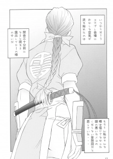 [UNI MATRIX ONE (Isou Doubaku)] RNH - Refine Ninja Hologram (Dead or Alive) - page 13