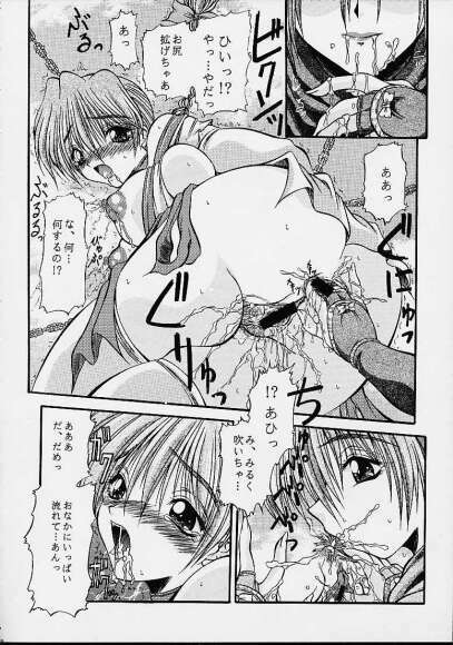 (C61) [ALICE-DO + CROWN BRIGADE (Miyauchi Izumi, Onizuka Takuto)] ronyuu (Dead or Alive) page 13 full