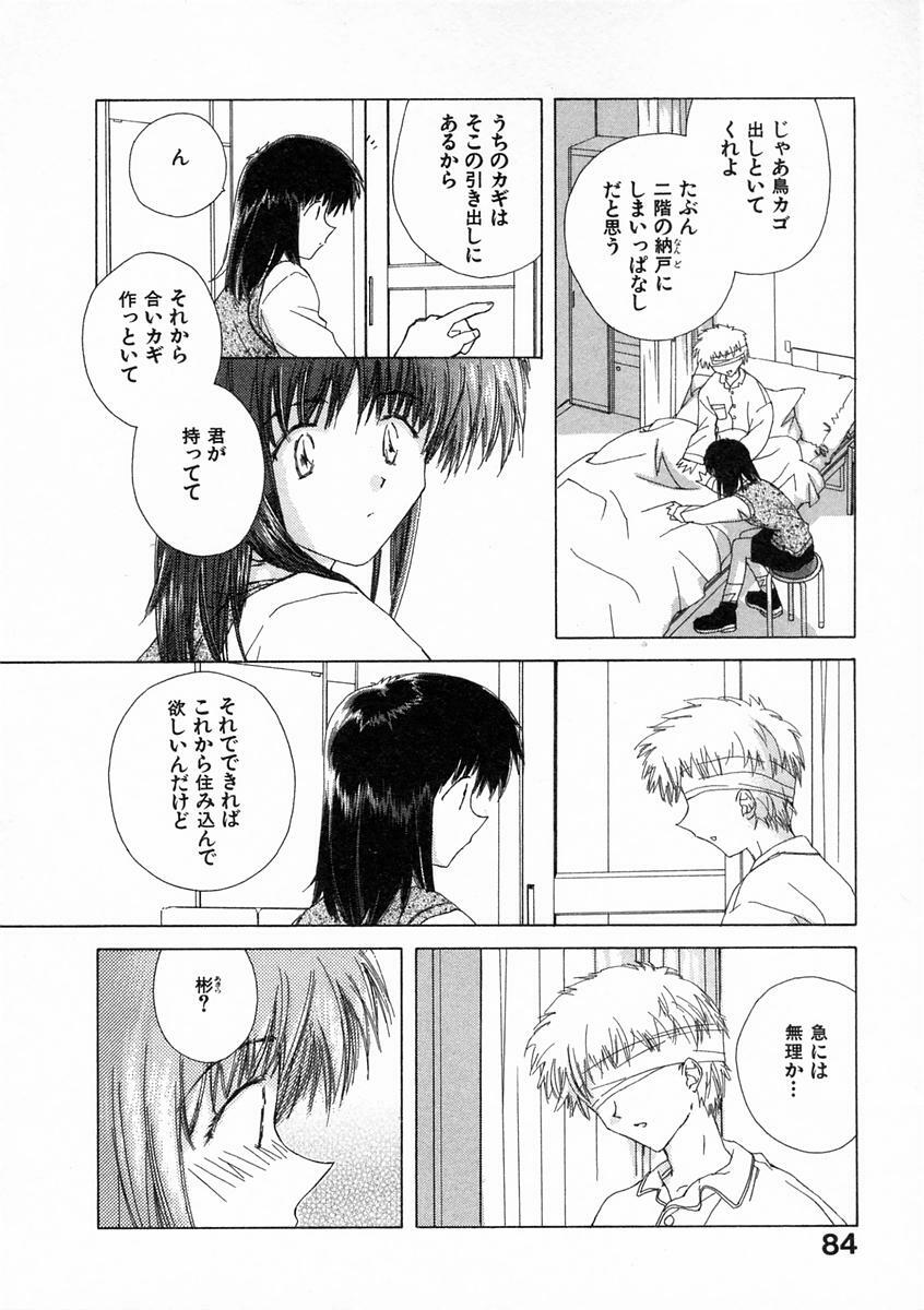 [Natsumikan] Toumei na Tori page 89 full