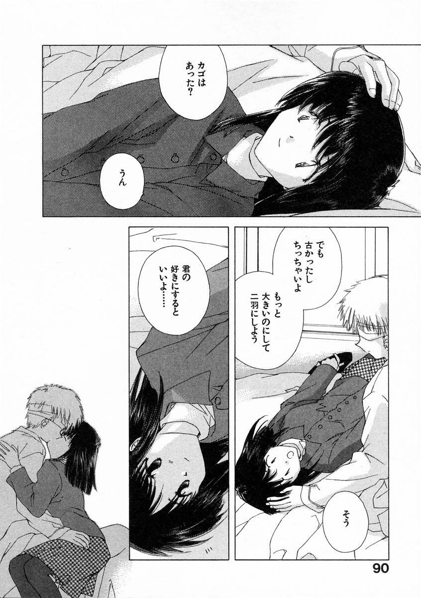 [Natsumikan] Toumei na Tori page 95 full