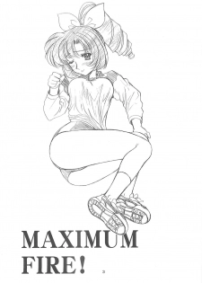(C62) [Fukumaden (Ohkami Tomoyuki)] Maximum Fire! (Doki Doki Pretty League) - page 2