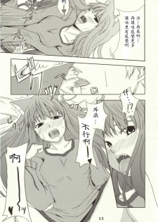 (Mimiket 16) [Neko no Paraiso (Neko no Te)] Ookami no Enbukyoku (Spice and Wolf) [Chinese] - page 14