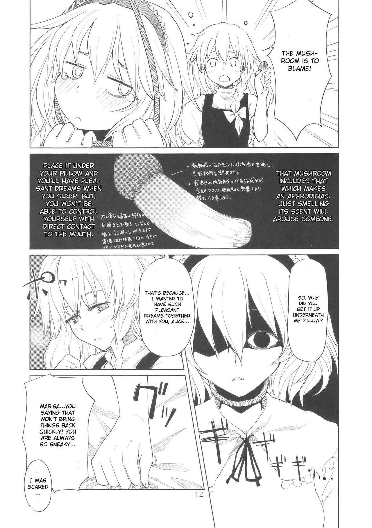 (Kouroumu 5) [MMU2000 (Mishima Hiroji)] Alice no Jikan (Touhou Project) [English] page 13 full