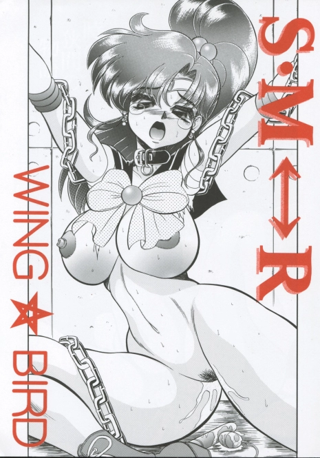 (C62) [Jingai Makyou Club (Wing☆Bird)] S·M↔R (Sailor Moon)
