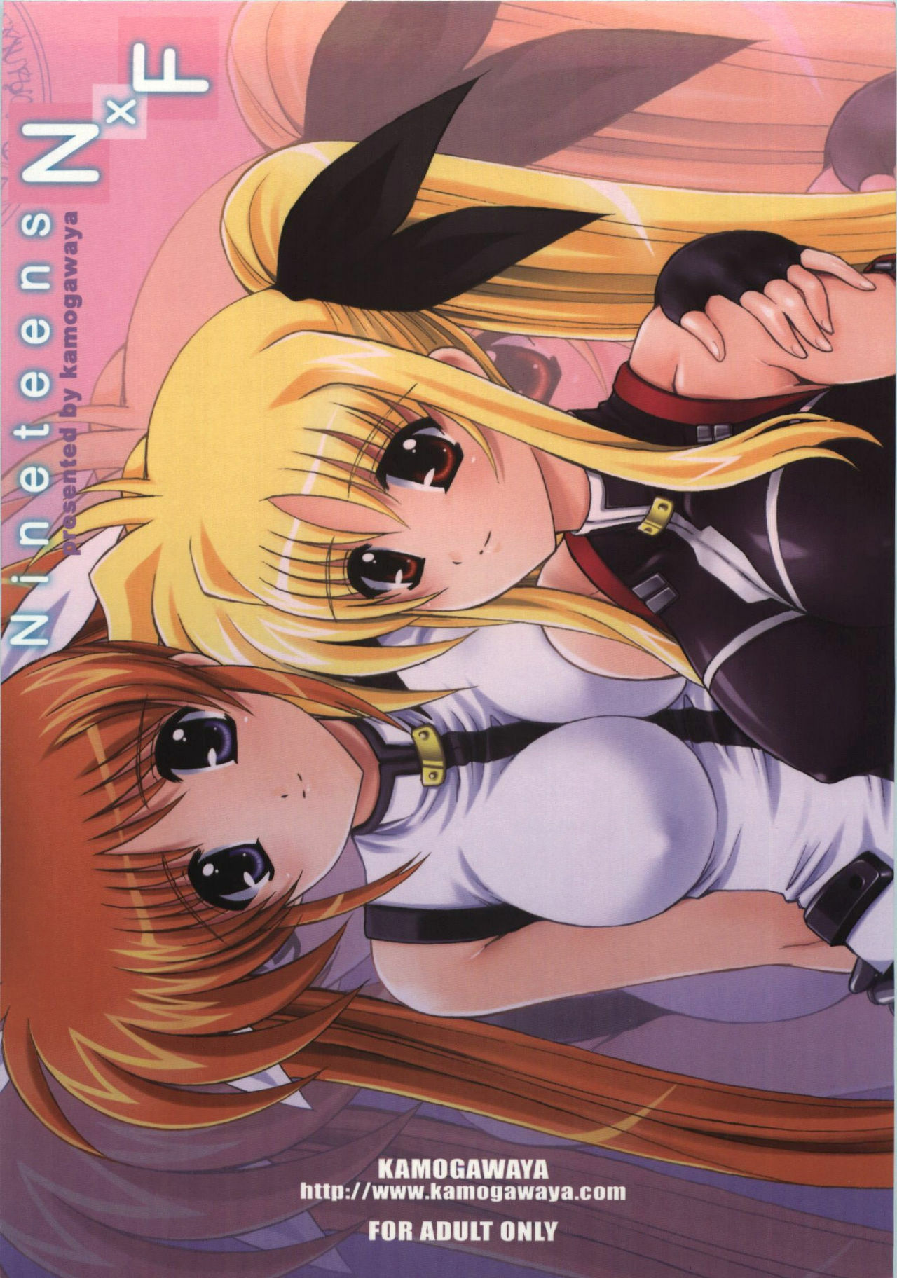 (C74) [Kamogawaya (Kamogawa Tanuki)] Nineteens NxF (Mahou Shoujo Lyrical Nanoha) [Chinese] page 2 full