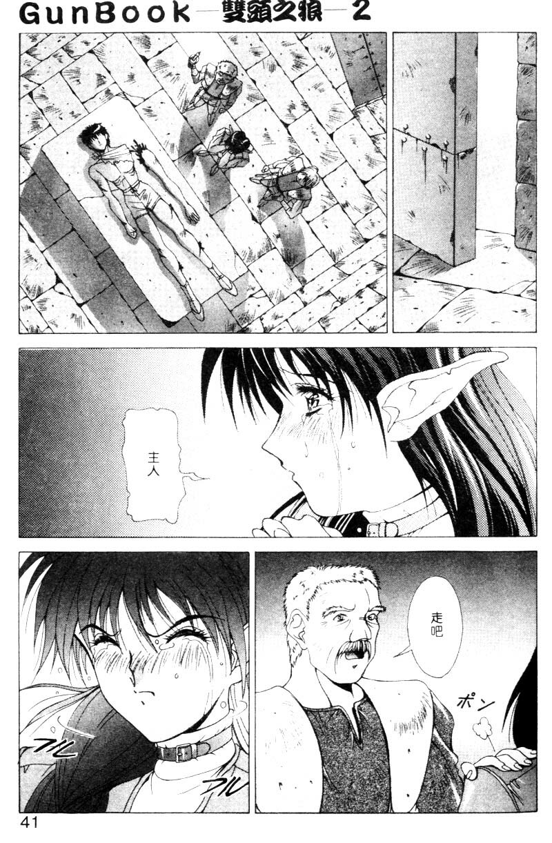 [Aki Matsuri] Gunbook 2 [Chinese] page 38 full