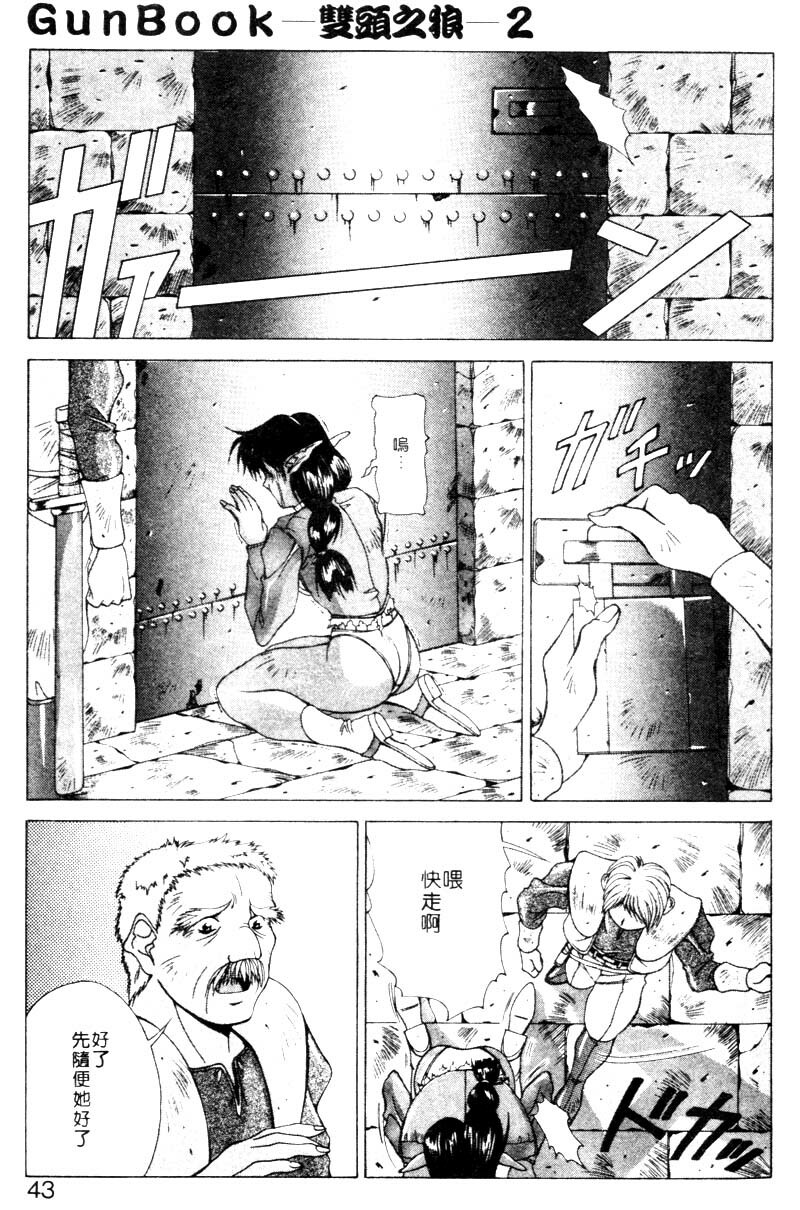 [Aki Matsuri] Gunbook 2 [Chinese] page 40 full