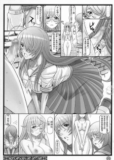 (C73) [Diogenes Club (Haikawa Hemlen)] Shokukan Mankan Zenseki (Ikkitousen) [Chinese] [YUKI飛雪之城] - page 10