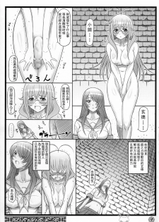 (C73) [Diogenes Club (Haikawa Hemlen)] Shokukan Mankan Zenseki (Ikkitousen) [Chinese] [YUKI飛雪之城] - page 6