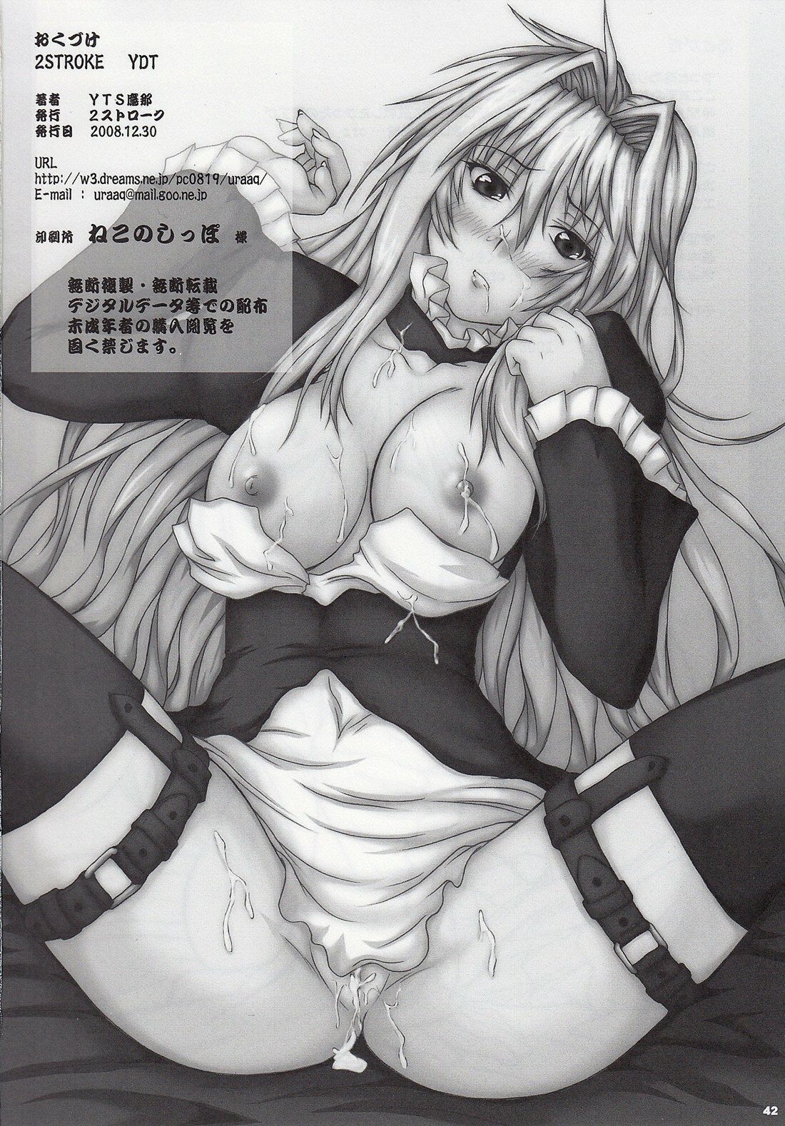 (C75) [2Stroke (YTS Takana)] 2Stroke YDT (Sekirei) page 41 full