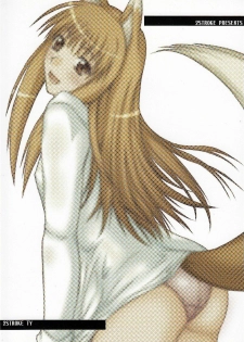 (C74) [2Stroke (YTS Takana)] 2Stroke TY (Spice and Wolf) - page 26