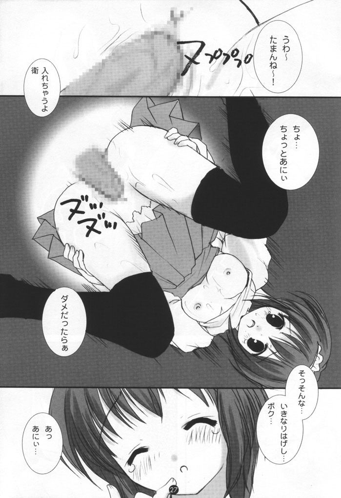 (C61) [PINK CHUCHU (Mikeou)] Dengeki SisPri Paradise (Sister Princess) page 26 full