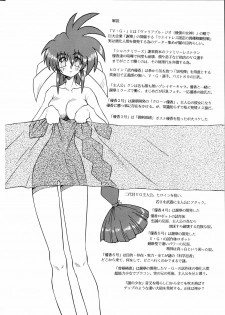 (C64) [Sudou (Sudou)] Sudou Rokukan (Variable Geo) - page 3