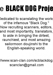 (C53) [BLACK DOG (Kuroinu Juu)] Baby Face (Bishoujo Senshi Sailor Moon) [English] [Black Dog Project] - page 35