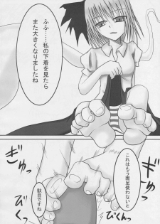 (Reitaisai 5) [Reticulian (NONAME)] Kyouki no Youmu no Ashi (Touhou Project) - page 8