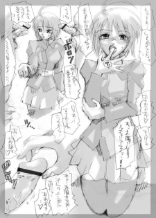 (C68) [JON] Lunamariassan wo korashimeru mepo (Kidou Senshi Gundam Seed Destiny) - page 3