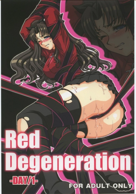 (SC33) [H.B (B-RIVER)] Red Degeneration -DAY/1- (Fate/stay night)