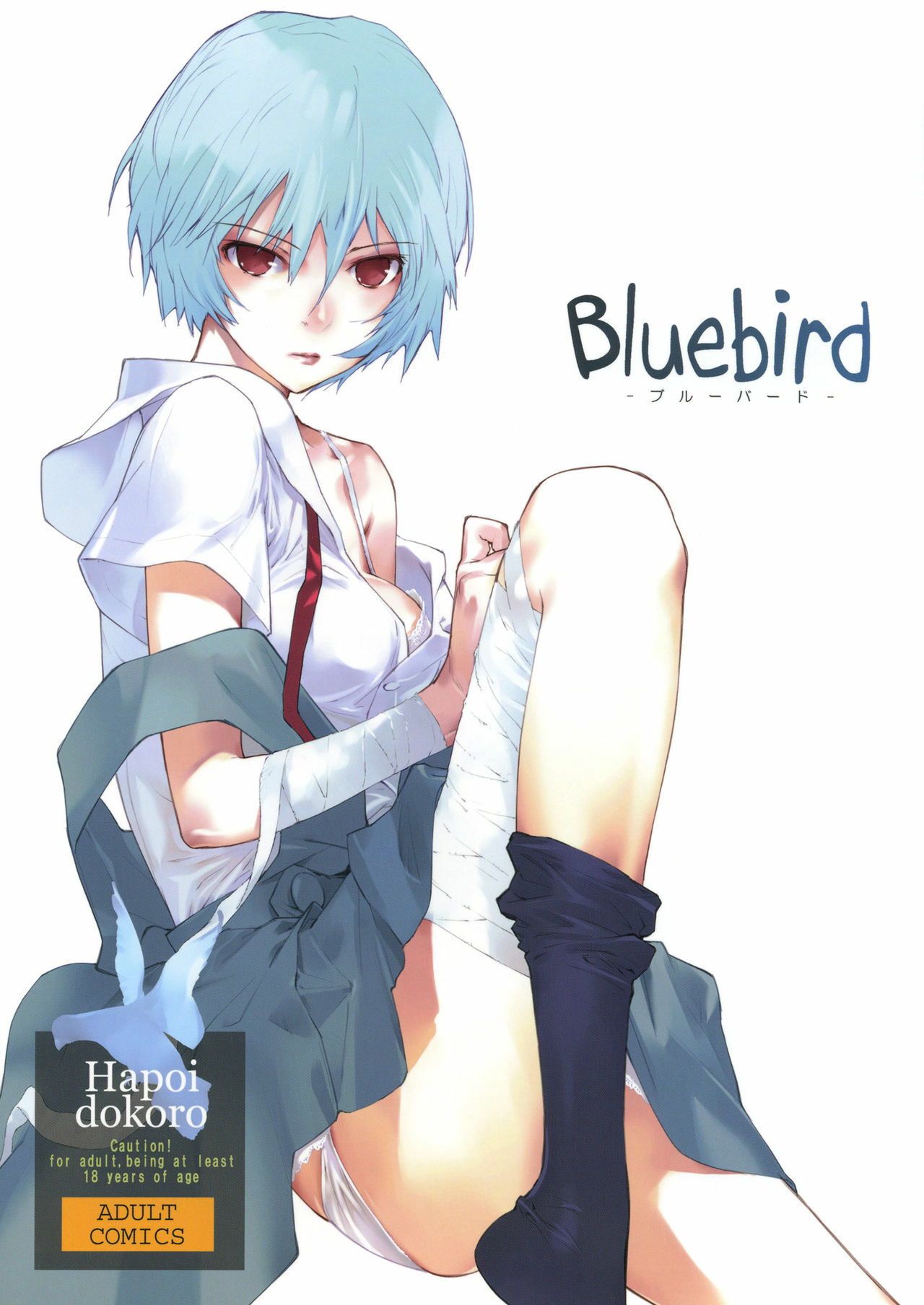 (C77) [Hapoi-dokoro (Okazaki Takeshi)] Bluebird (Neon Genesis Evangelion) page 1 full