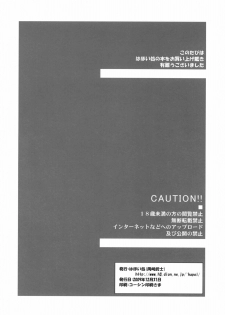 (C77) [Hapoi-dokoro (Okazaki Takeshi)] Bluebird (Neon Genesis Evangelion) - page 25