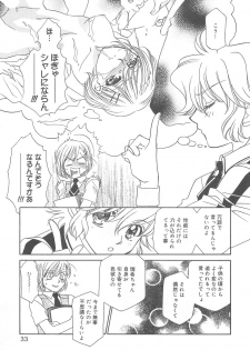 [Hayashiya Shizuru] ULTRA SWORD - page 33