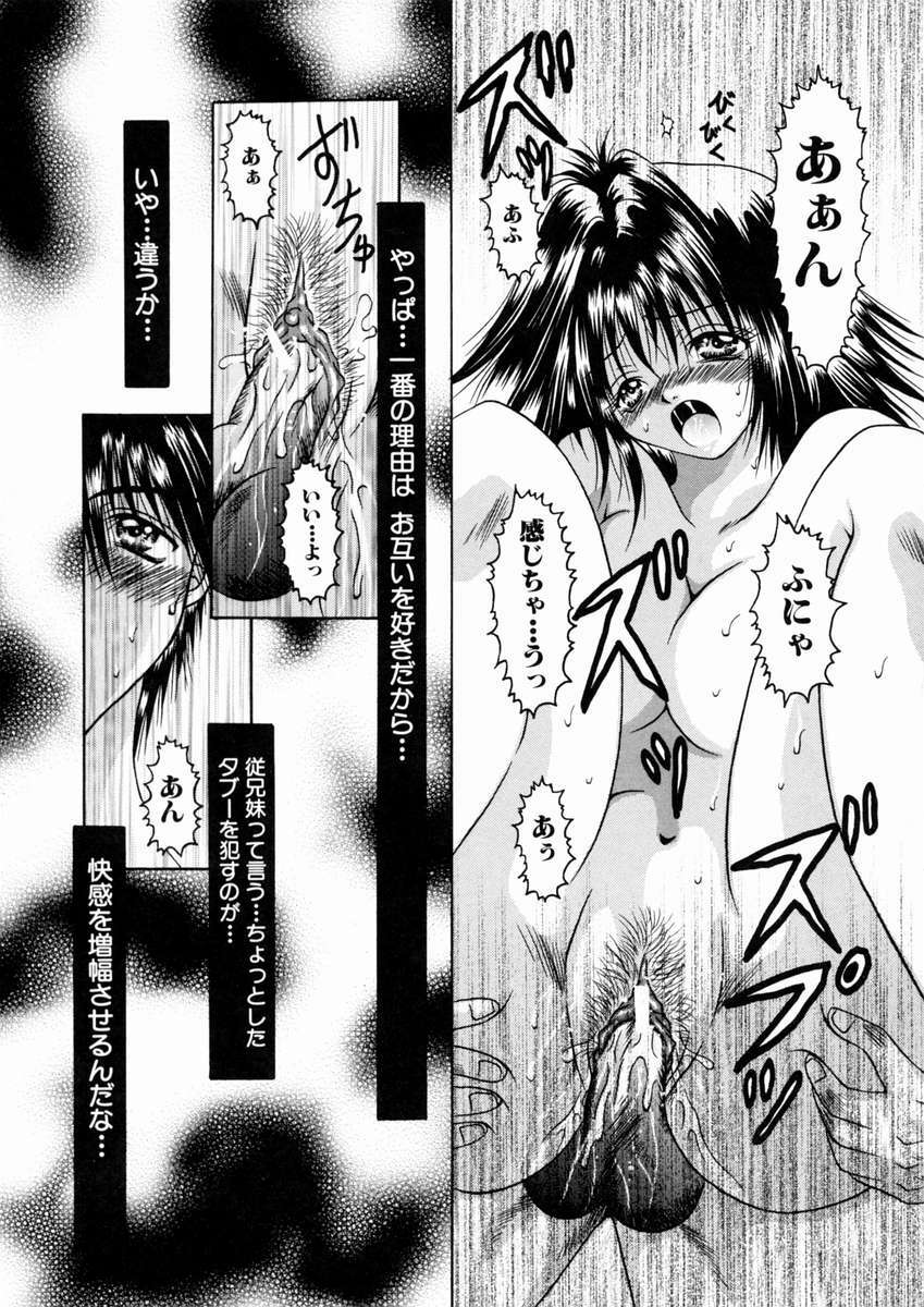 [Katase Yuu] Mitsugetsu Kajitsu page 116 full