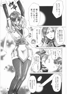 [SFT (Kawakami Takashi, Itou Nozomi)] Kuro to Shiro (Dragon Quest IV, Samurai Warriors 2) - page 22
