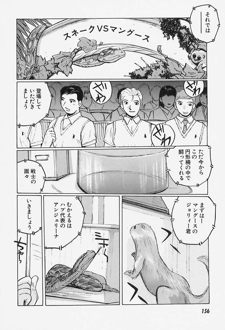 [Katase Shou] Yuuwaku Onee-san page 156 full