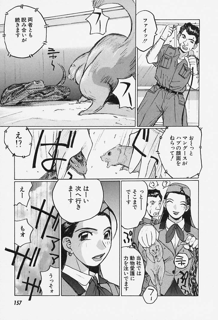 [Katase Shou] Yuuwaku Onee-san page 157 full