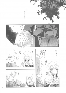(C77) [Annin (Tooka)] Hakanai Mono (Final Fantasy Tactics) - page 34