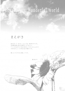 (C77) [BAKA to HASA me (Tsukai You)] Subarashii Shin Sekai | Bravo, New Wonderful world (Toaru Kagaku no Railgun) - page 3
