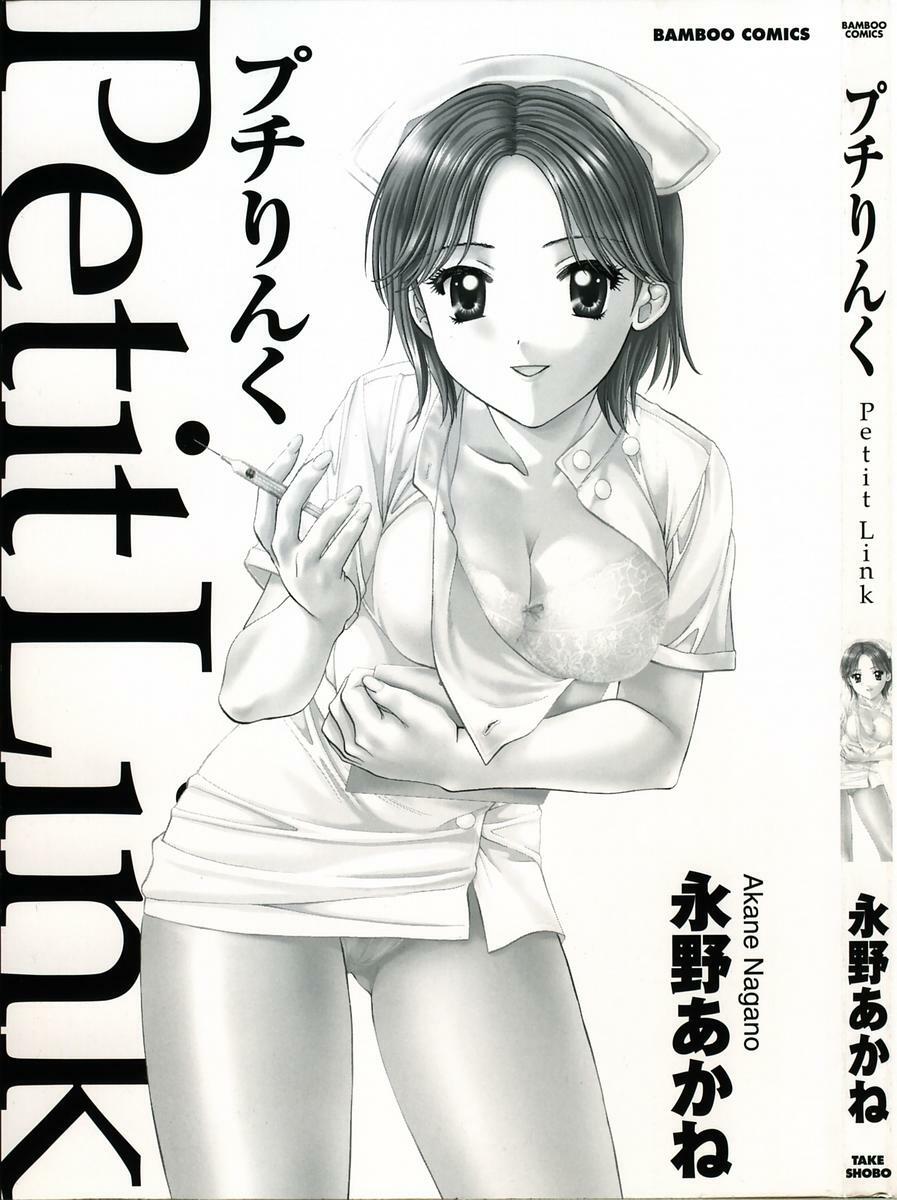 [Nagano Akane] Petit Link page 2 full