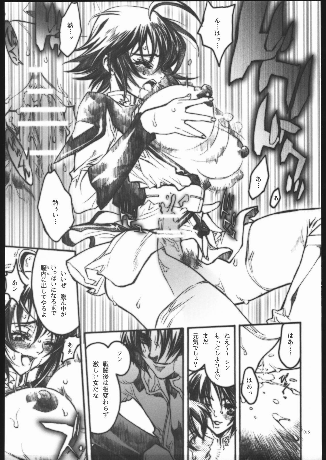 [PIGGSTAR (Nagoya Shachihachi)] REBORN (Gundam SEED Destiny) page 14 full