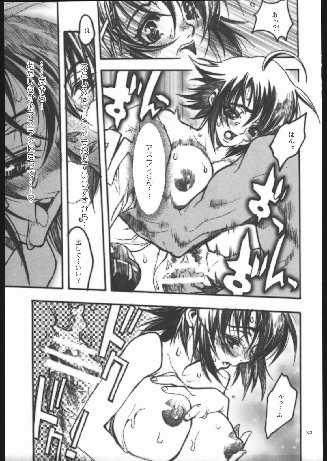 [PIGGSTAR (Nagoya Shachihachi)] REBORN (Gundam SEED Destiny) page 22 full