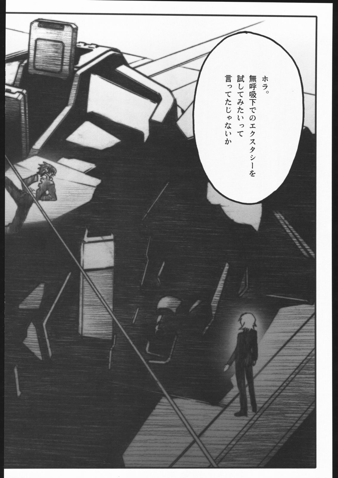 [PIGGSTAR (Nagoya Shachihachi)] REBORN (Gundam SEED Destiny) page 39 full