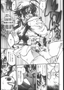 [PIGGSTAR (Nagoya Shachihachi)] REBORN (Gundam SEED Destiny) - page 14