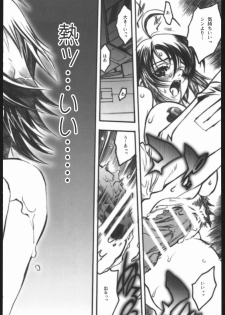 [PIGGSTAR (Nagoya Shachihachi)] REBORN (Gundam SEED Destiny) - page 25