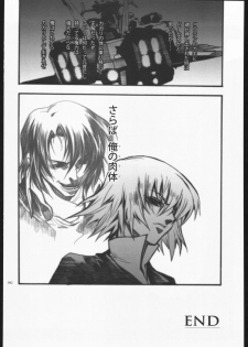 [PIGGSTAR (Nagoya Shachihachi)] REBORN (Gundam SEED Destiny) - page 41