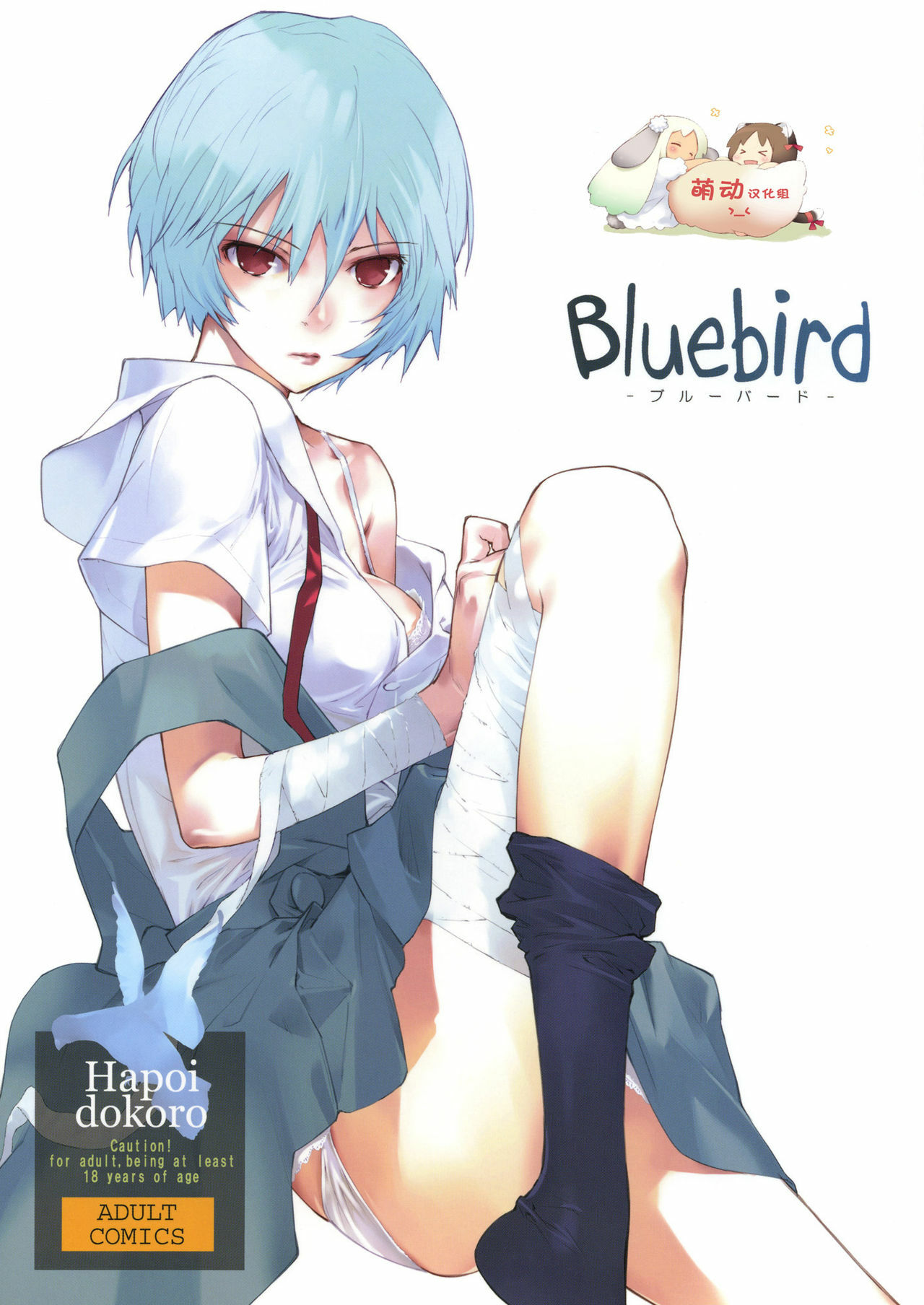 (C77) [Hapoi-Dokoro (Okazaki Takeshi)] Bluebird (Neon Genesis Evangelion) [Chinese] [萌动汉化组] page 1 full